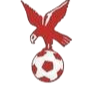 https://img.yttuan.com/img/football/team/4802d26df935b78bb2fcdbbff36e8864.png