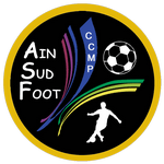 https://img.yttuan.com/img/football/team/a536ffbc623217e1ee3589718bb71517.png